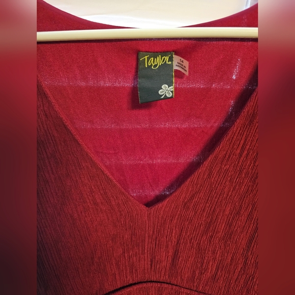 Taylor Burgundy V-Neck Textured Dress - Picture 14 of 15